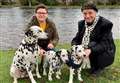 UPDATE: Popular Inverness busker gets a new dog