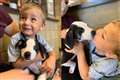 Two-year-old boy with cleft lip adopts puppy with same birth defect