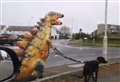 WATCH: 'Dinosaur' seen walking dog in Inverness