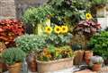 How to combine veg and flowers in pots for an eye-catching display