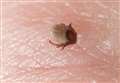 EXPLAINED: Ticks – the dangerous beasties lurking in our gardens, play parks, woods and hills!