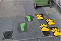 ‘Paws for thought’ on Inverness walk trail? 