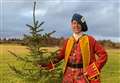 How can a Christmas tree help us to conserve Culloden Battlefield?