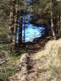 Achnashellach trail run