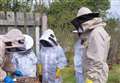 Beginner beekeeping courses now available