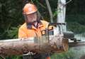 Chance to find out about forestry