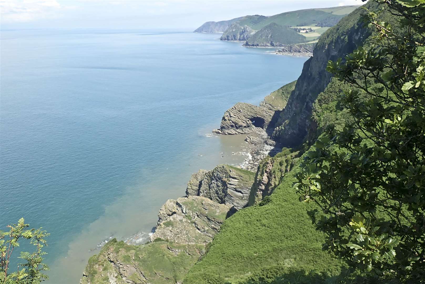 The fossil forest was discovered by scientists in sandstone cliffs along the Devon and Somerset coast (Neil Davies/University of Cambridge/PA)