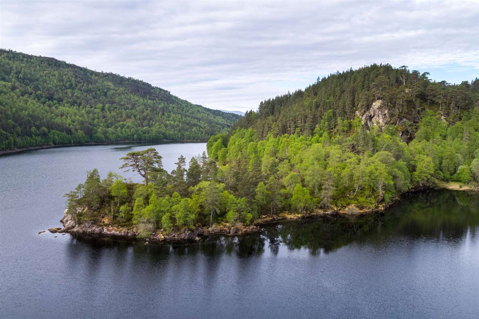 Caledonian forest surrounding Loch Beinn a Mheadhoin in Glen Affric National Nature Reserve, Scotland..