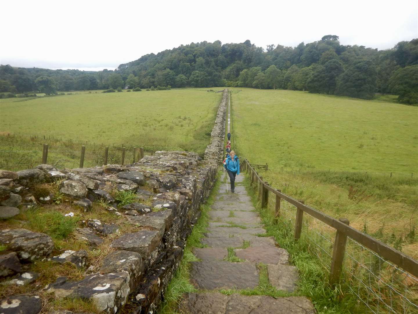 Hadrian's Wall near Willowford Farm. Picture: Douglas Law