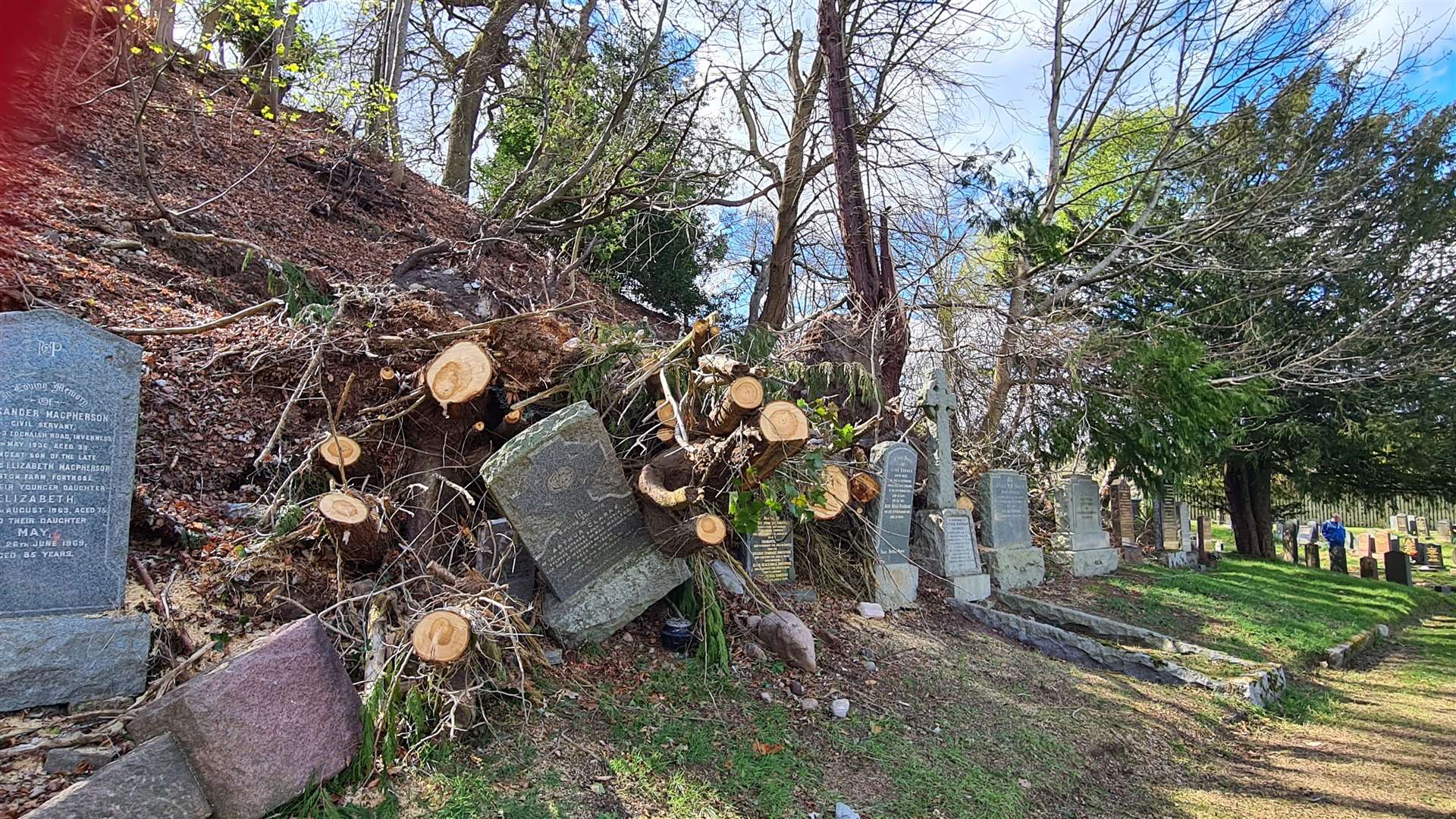 Storm damage in the cemetery.