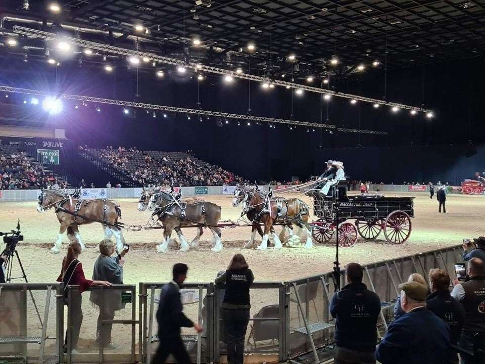 Galcantray Clydesdales team won World Champions title in the six horse hitch competition. The young team of horses was driven by Logan Behn.