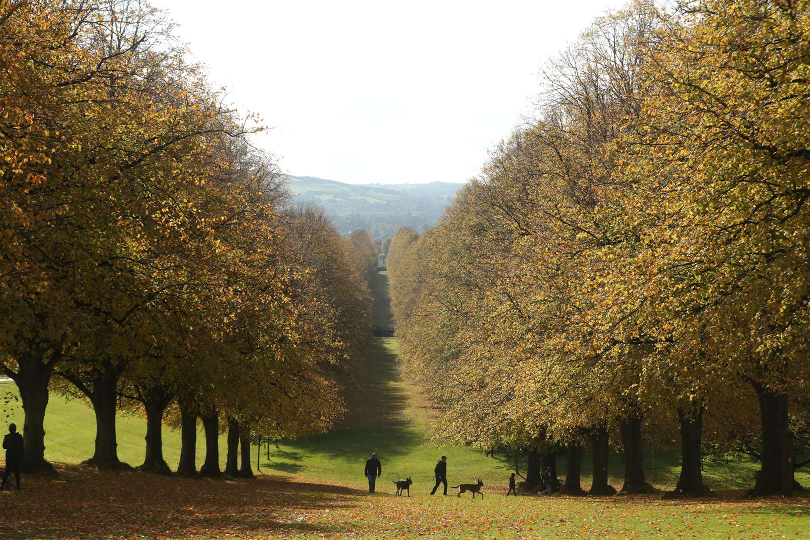 People enjoying the autumn sunshine on the Stormont estate in Belfast (Niall Carson/PA)