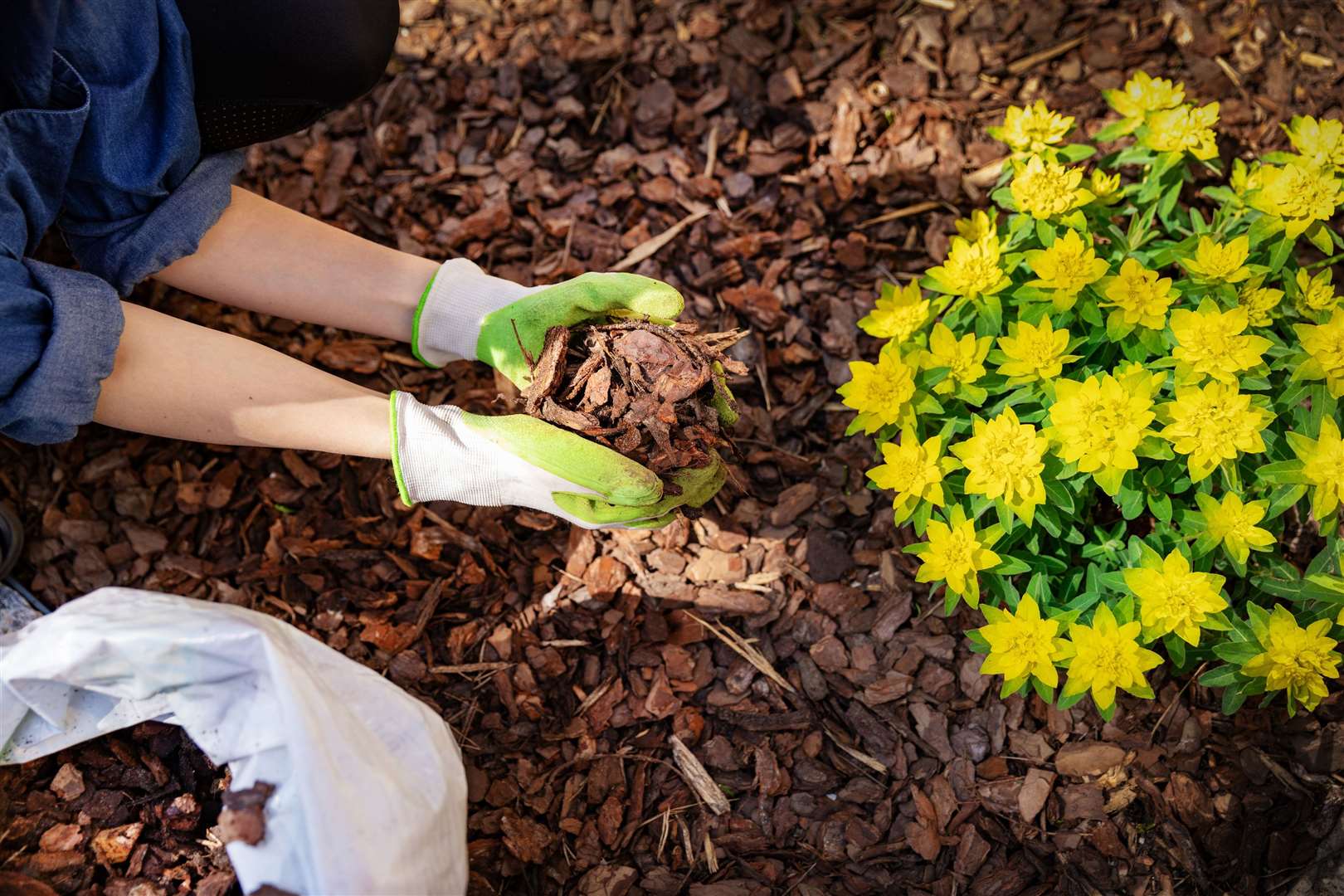 Spreading mulch on a border can reduce the amount of weeding you'll need to do later in the year. Picture: iStock/PA
