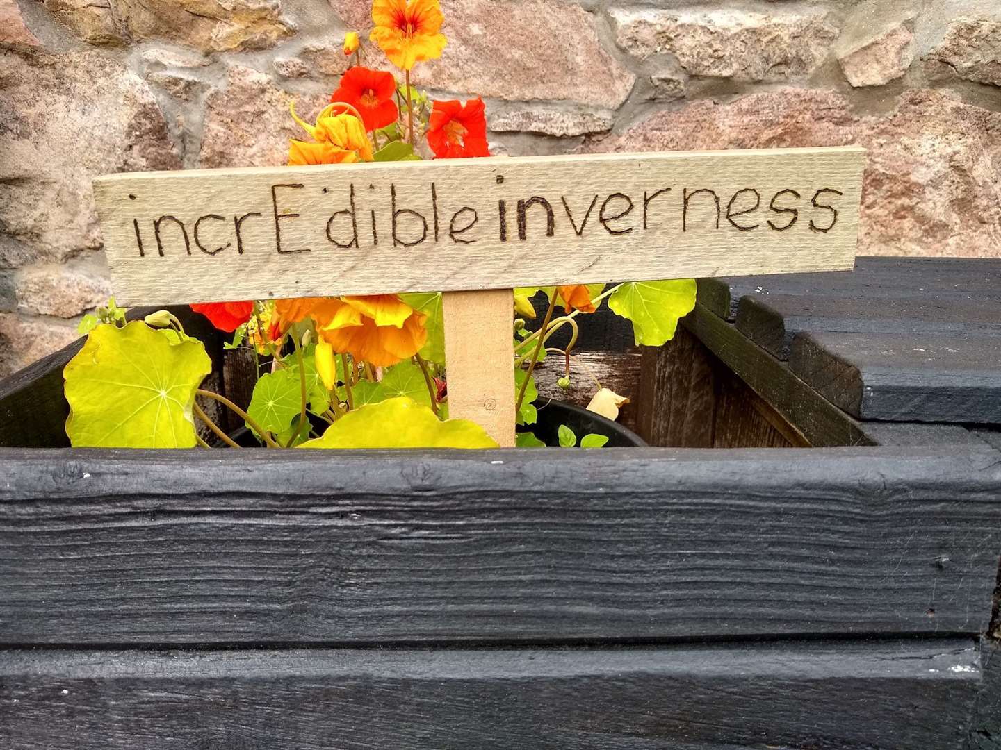 Incredible Edible Inverness was launched in the summer.