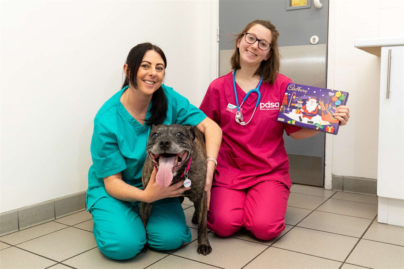 Max with pet hospital leader Sally Frith and PDSA vet Catherine Burke. Picture: Shaun Fellows/Shine Pix Ltd