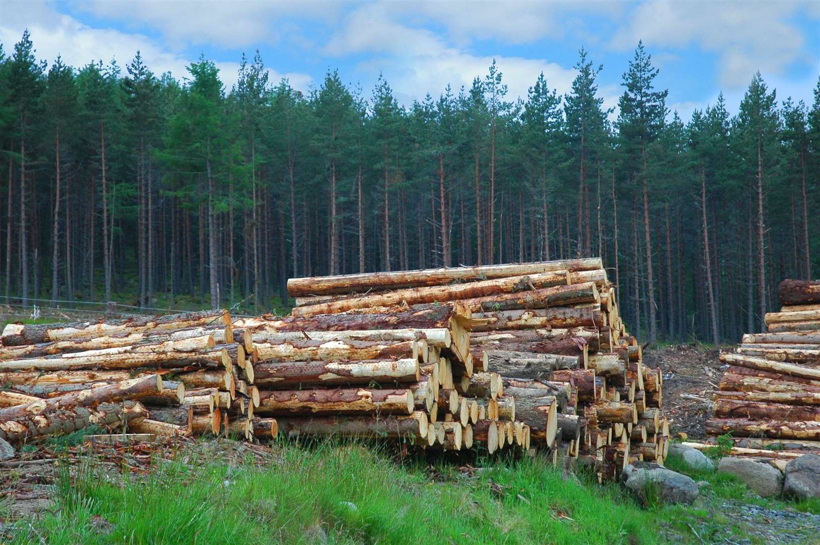 More money is to be spent on Nairnshire roads to help with timber extraction in the area.