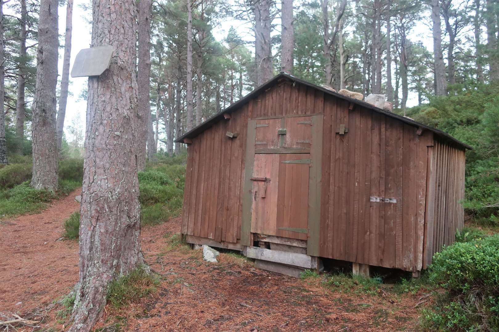 Utsi's Hut in the reindeer enclosure.