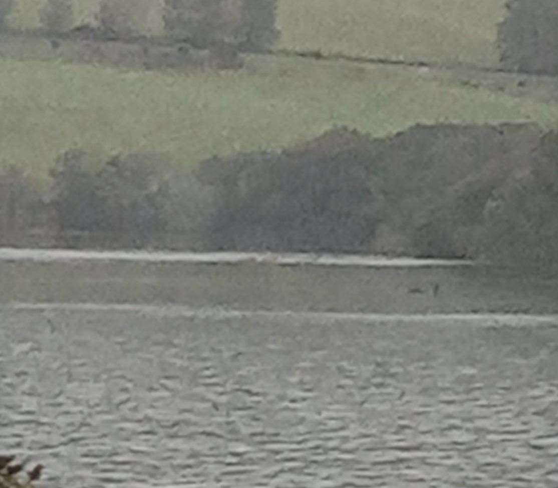 The picture was captured on October 8 at around 5pm, when John Howell spotted something moving in the loch. Picture: John Howell.