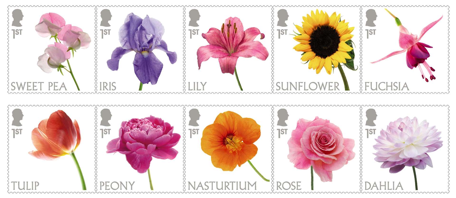 The 10-stamp set which showcases some of the most popular types of flowers grown in gardens across the UK (Royal Mail/PA)