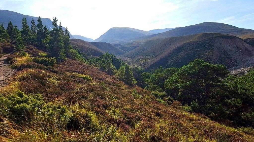Tulloch Ghru, Aviemore. Photo: Inverness Outlanders