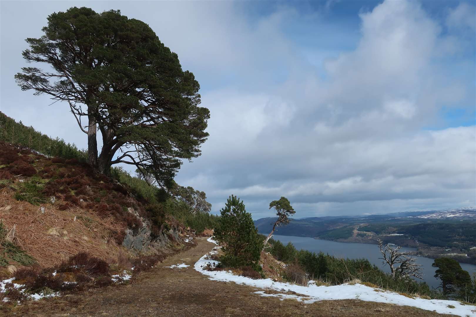 The view north along Loch Ness from the 'S' bench on the Great Glen Way high-level route..
