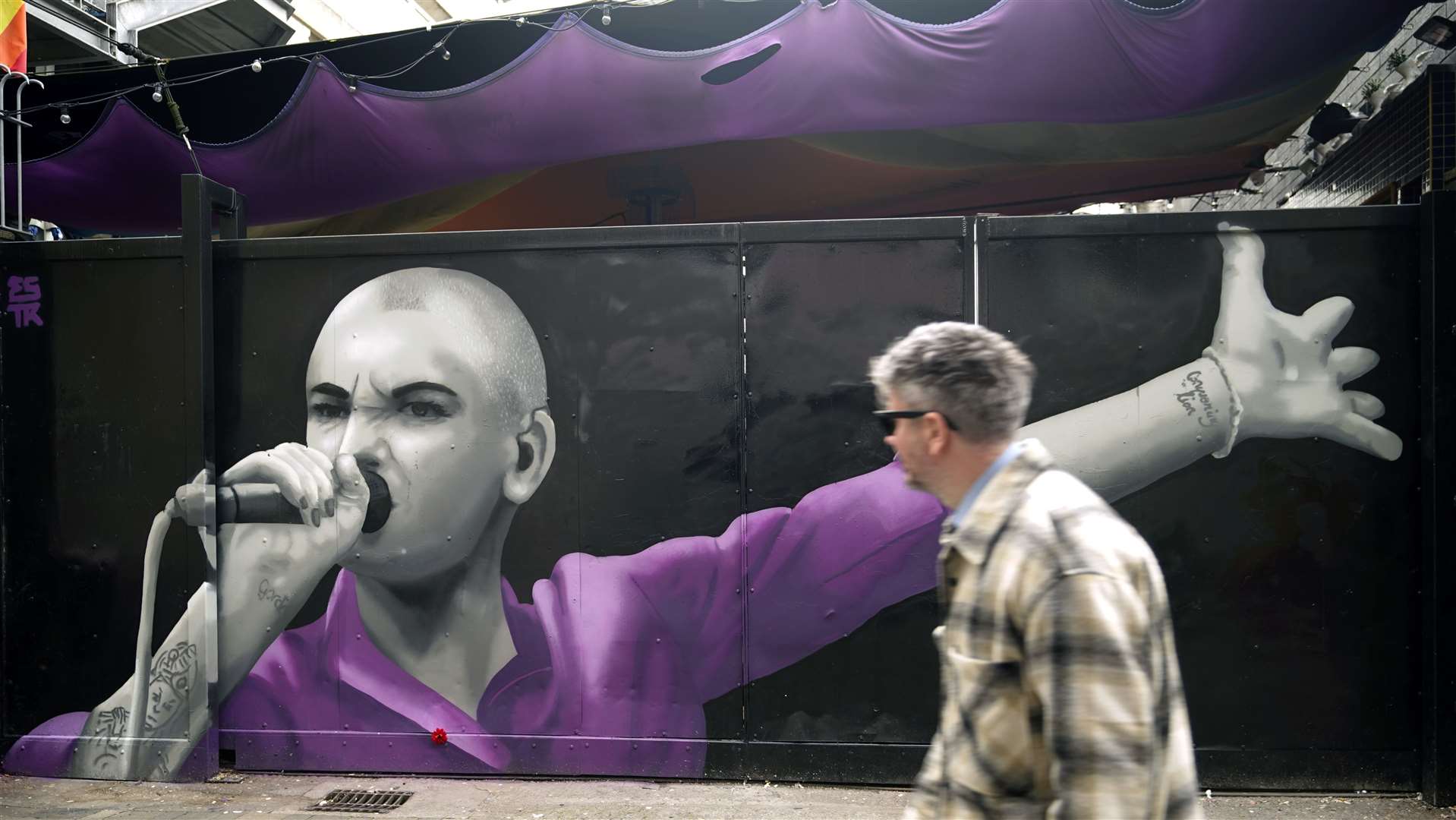 A mural of Sinead O’Connor by Emmalene Blake has been created on Dame Lane in Dublin (Niall Carson/PA)