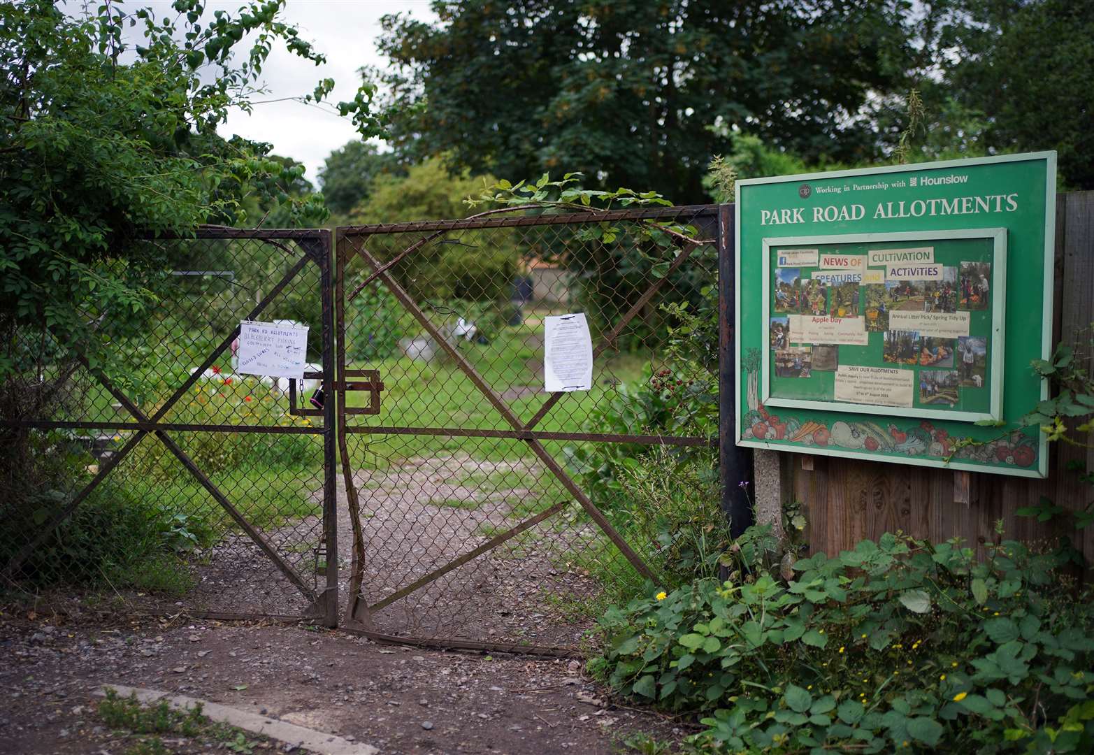 Park Road Allotment Association welcomed the Planning Inspectorate’s decision (Yui Mok/PA)