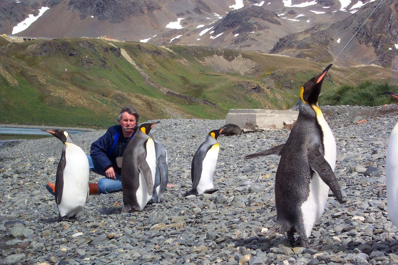 David Virgo in Antarctica, with penguins