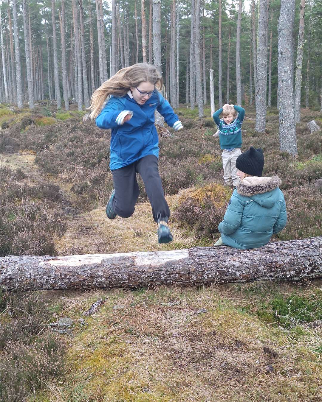 Testing out the natural hurdles in the woods.