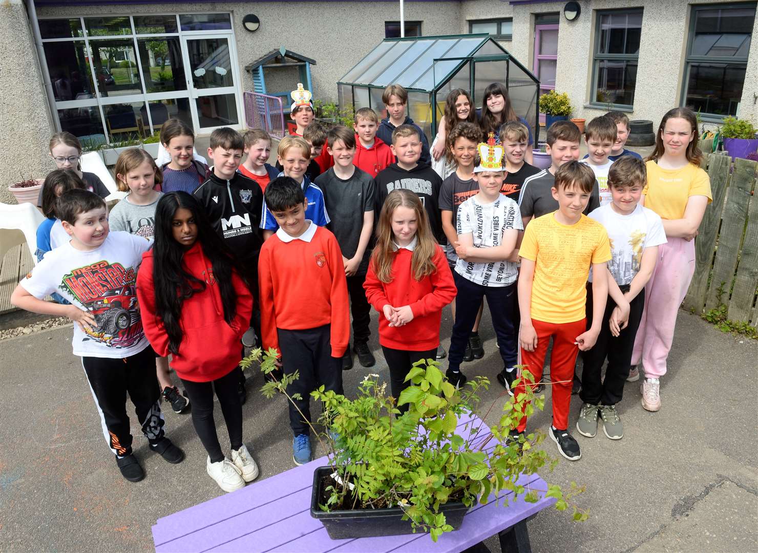 The P7 leavers at Duncan Forbes Primary have planted a legancy of 70 trees to mark Queens jubilee..Picture Gary Anthony.