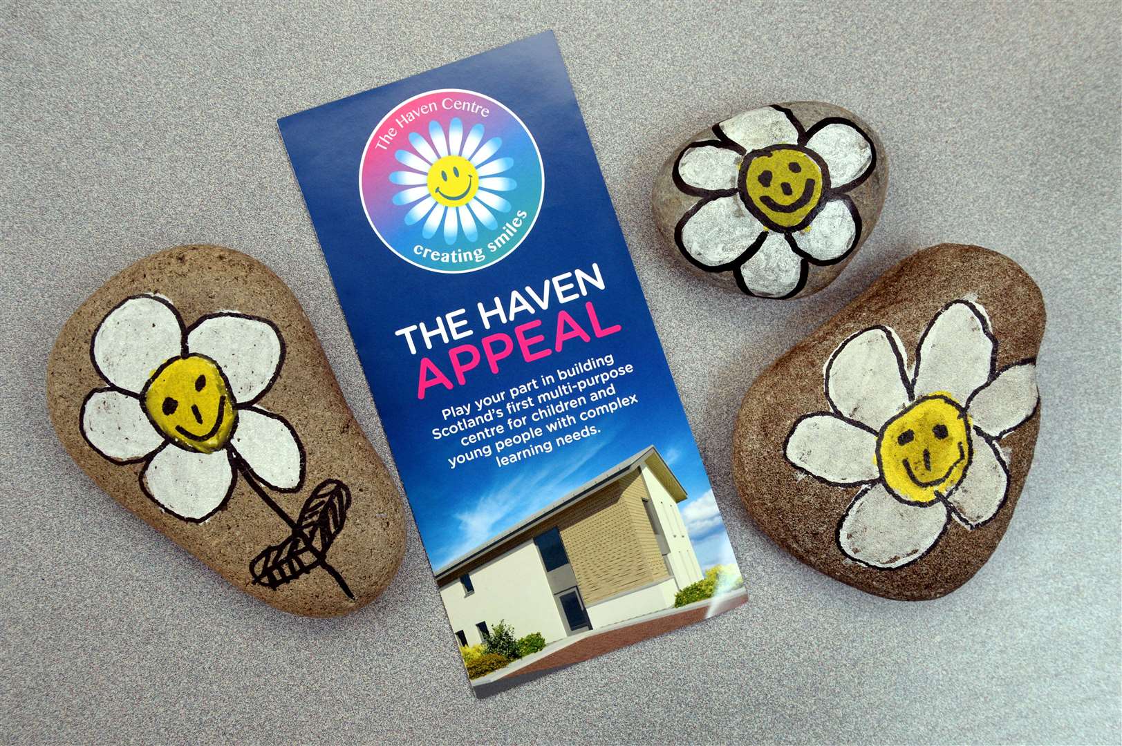 The Daisy Day will raise money for the Haven Appeal.