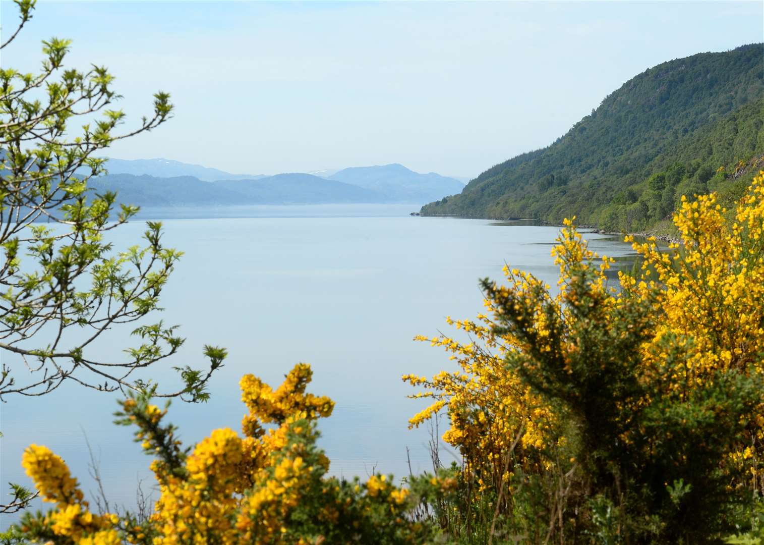 Green entrepreneur Jeremy Leggett plans to set up a flagship rewilding projet on his estate near Loch Ness.