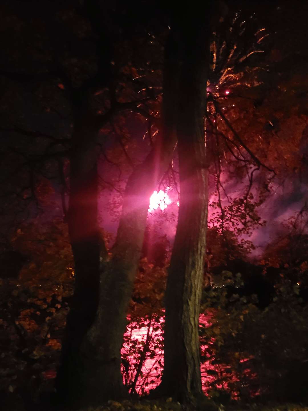 Bonfire Night at Bught Park. Picture: Golda Abbe