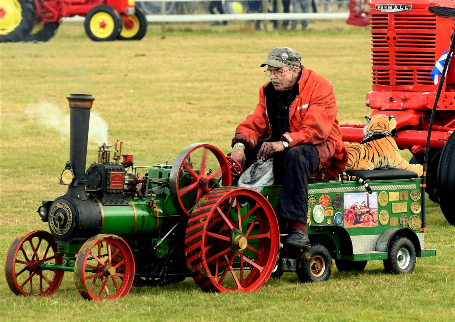 Vintage tractor parade. Picture: James Mackenzie.