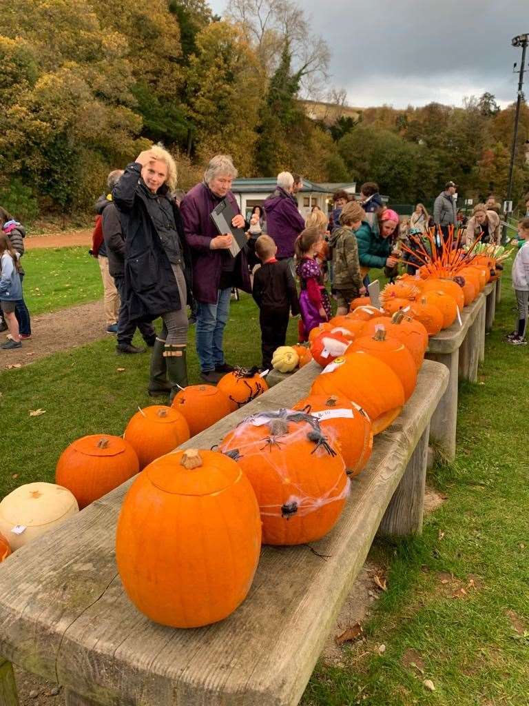 There was much interest in the pumpkins on display.