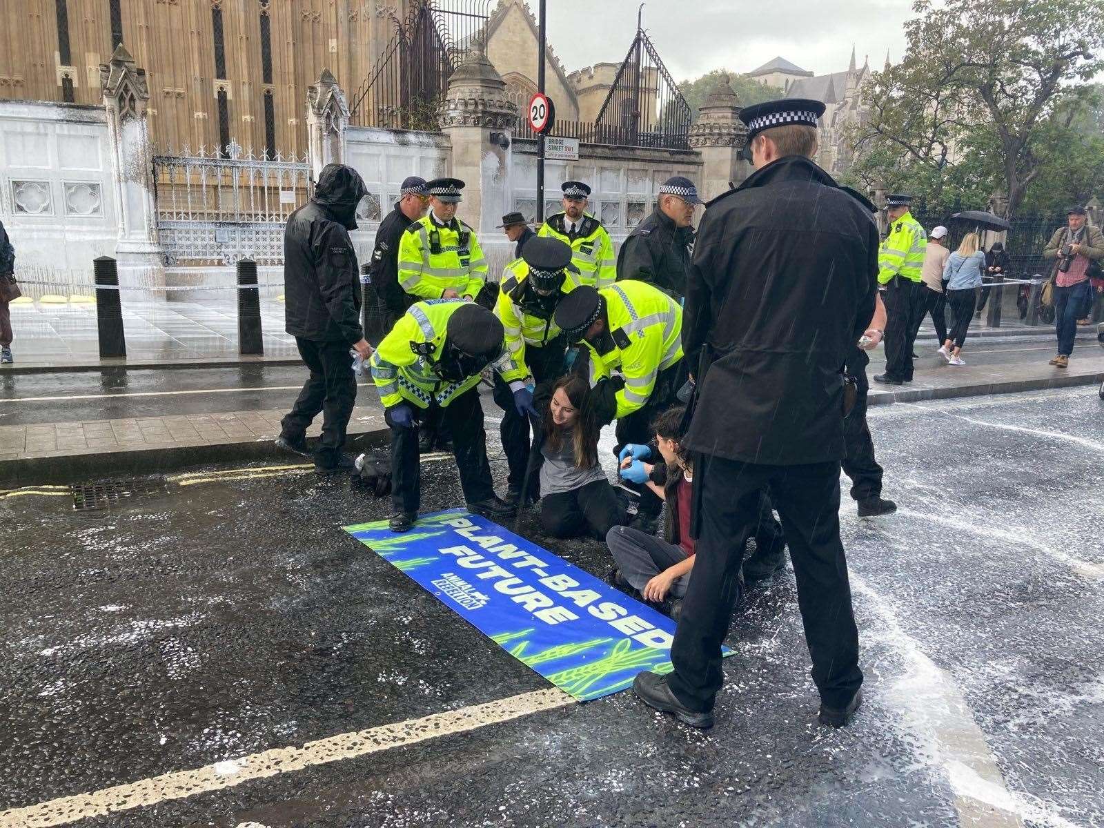 Some Animal Rebellion campaigners were arrested after taking part in a protest outside the Houses of Parliament (Animal Rebellion/PA)