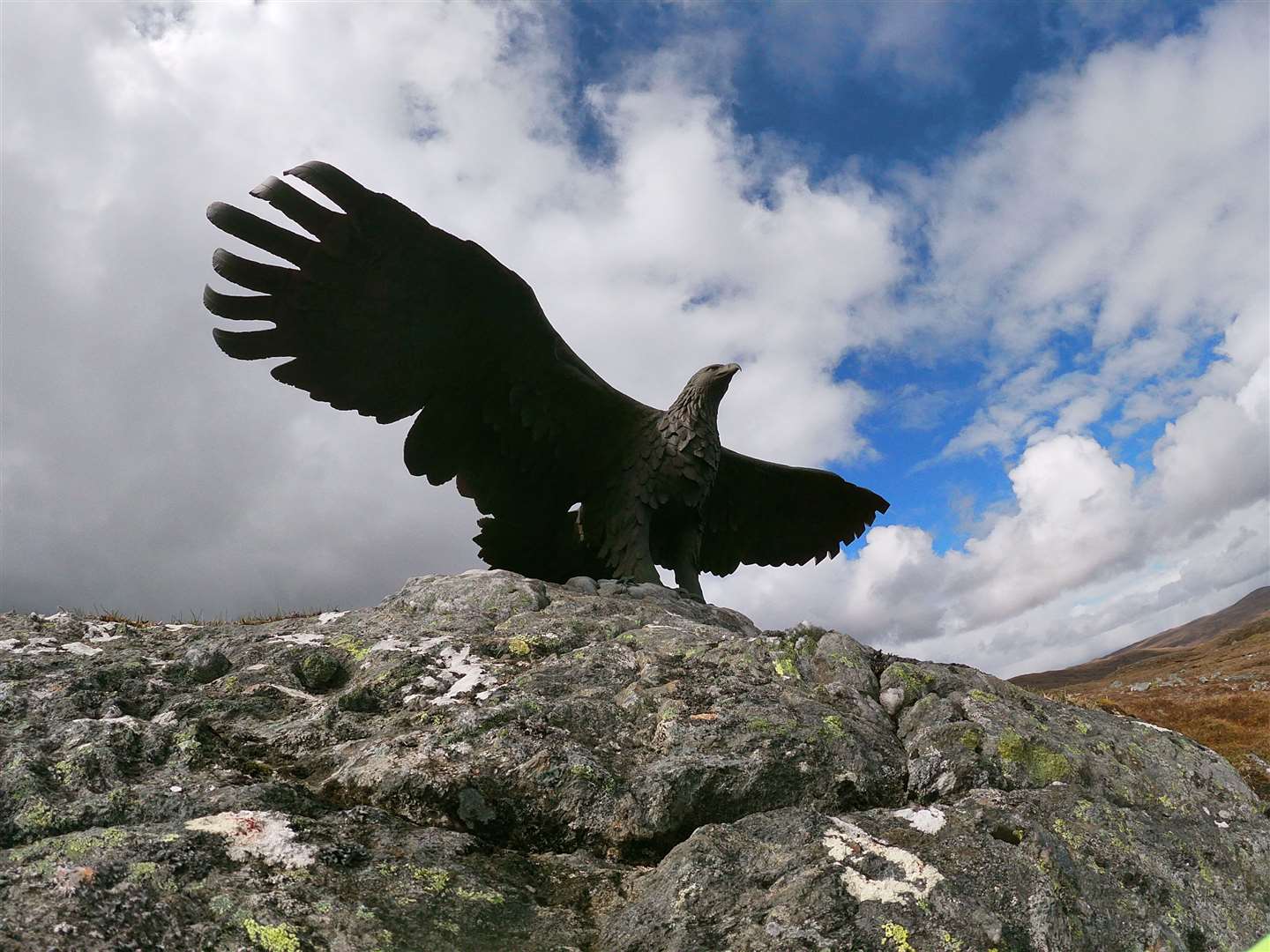 The eagle statue soaring above the reservoir at Glendow.