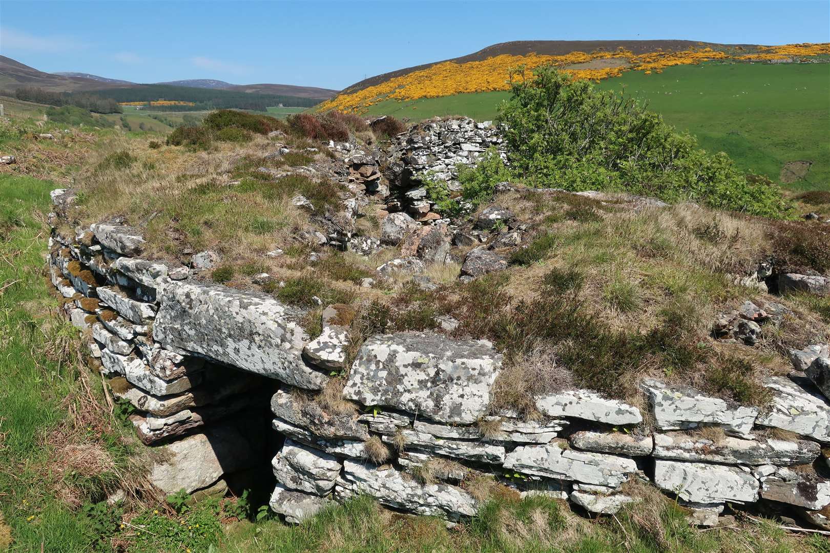 Ousdale broch pictured before the recent works to stabilise the structure.