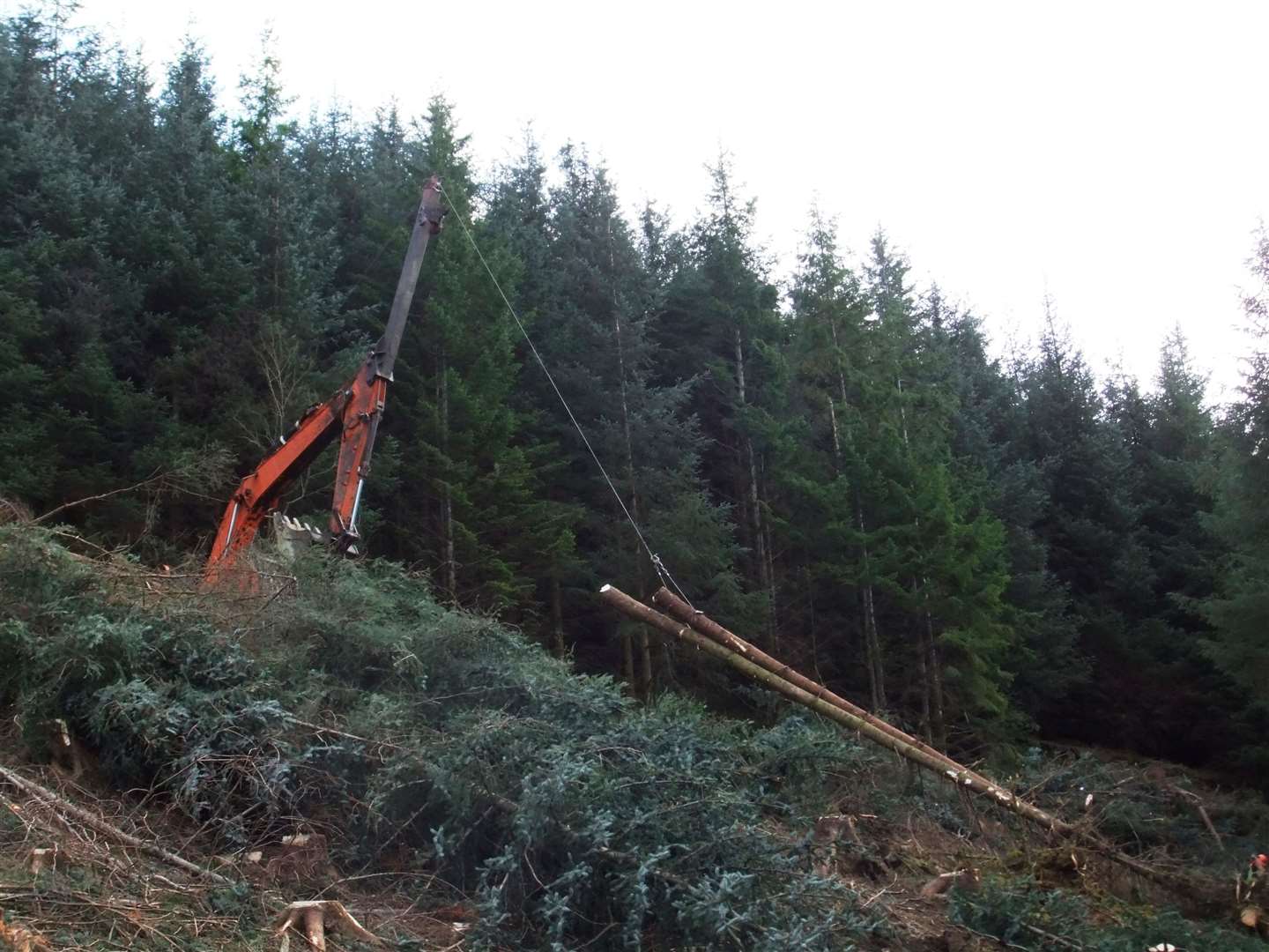 A skyline winch being used to extract timber at Glen Righ.
