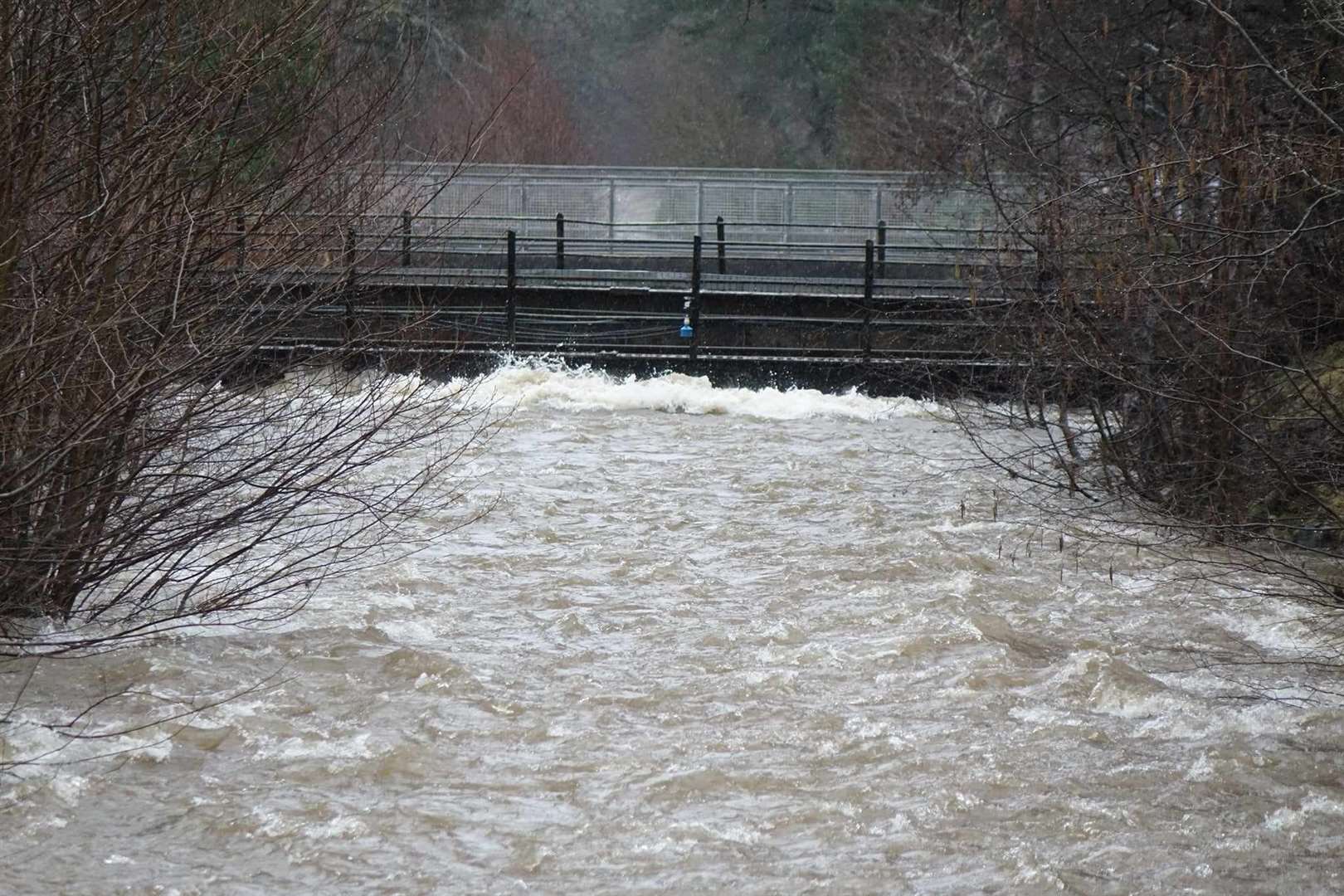 So close to the line: the Gynack Burn continued rising under the Highland Line this afternoon (David Macleod)