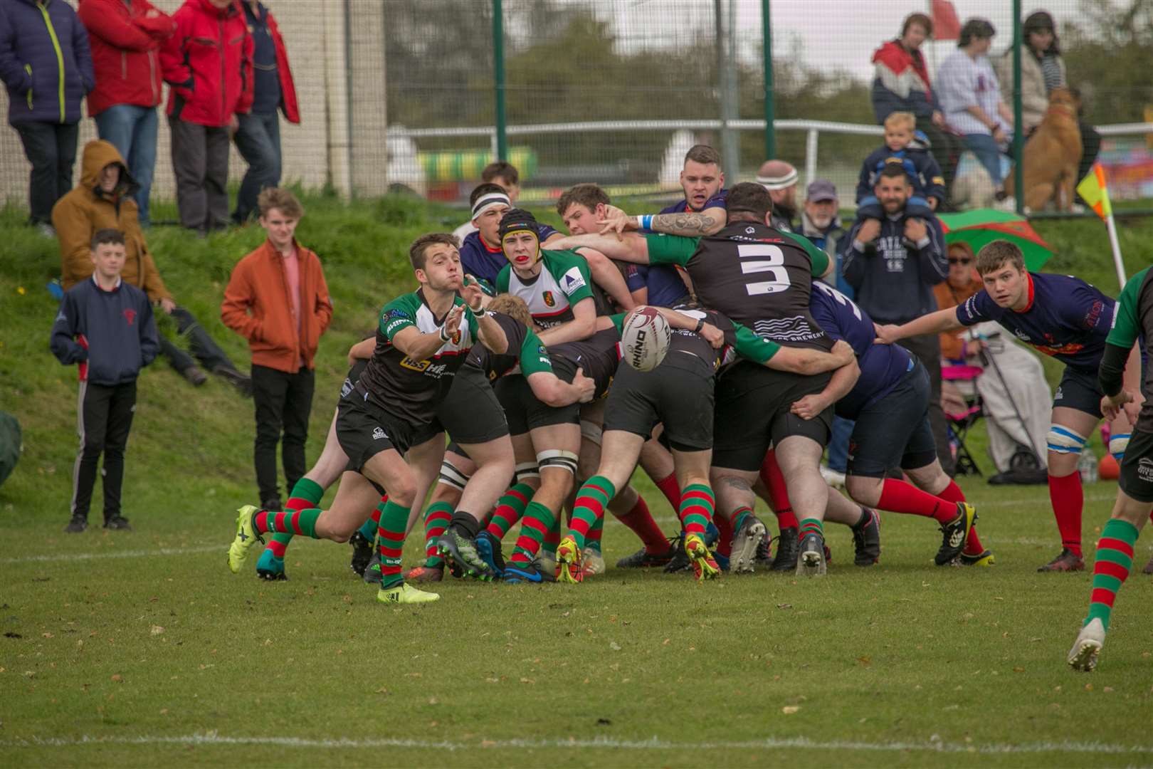 Highland 2nds move the ball out of the scrum in their derby match against Ross Sutherland. Picture: Peter Carson