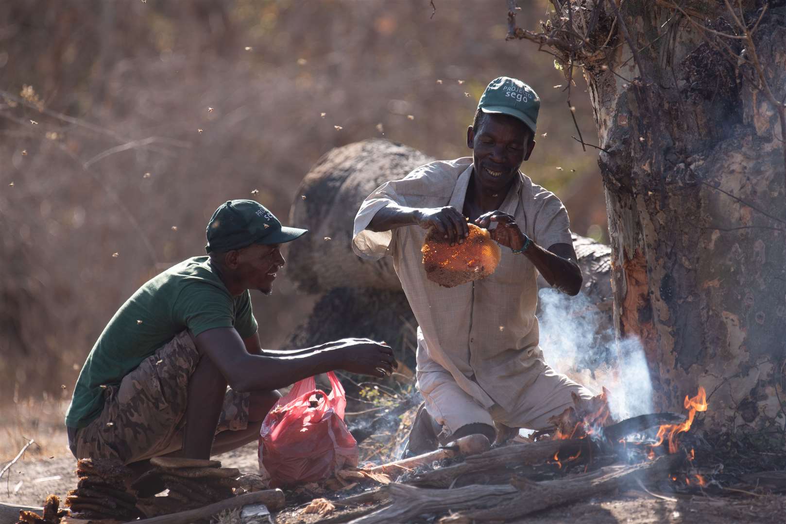 Yao honey hunters using fire and tools to harvest a bees’ nest in the Niassa Special Reserve in Mozambique (Claire Spottiswoode/University of Cambridge)
