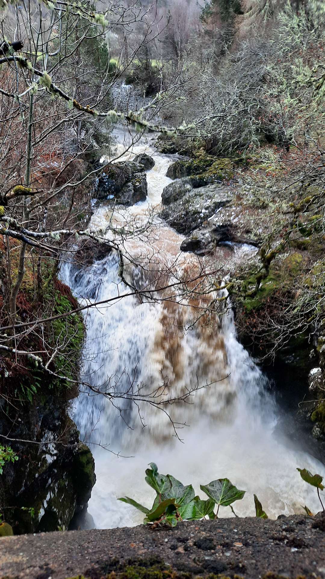 The Upper Falls at Foyers.