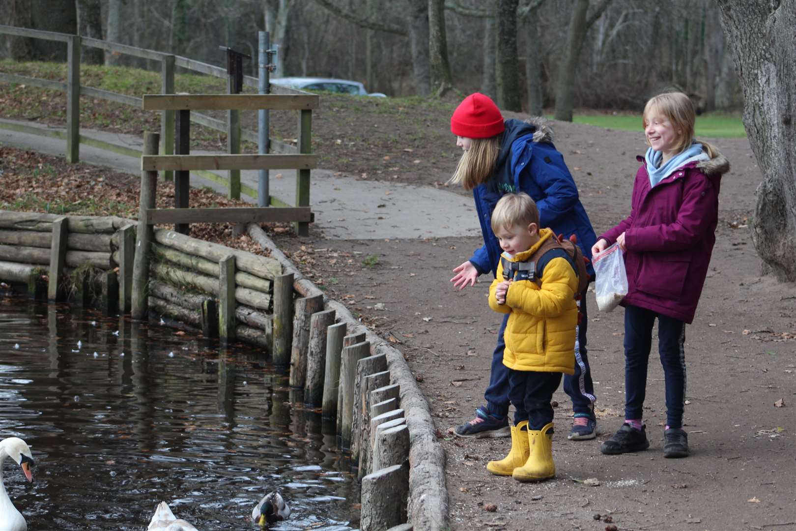 The children enjoy feeding the ducks and swans by the loch.