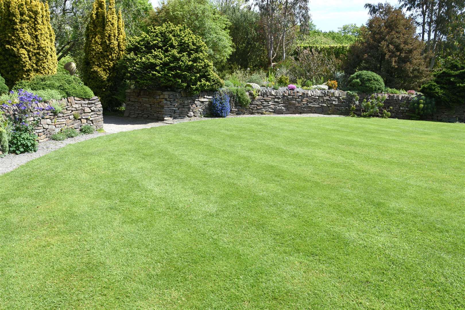 Simpsons recommends four simple steps to make your lawn look lush, green and healthy.