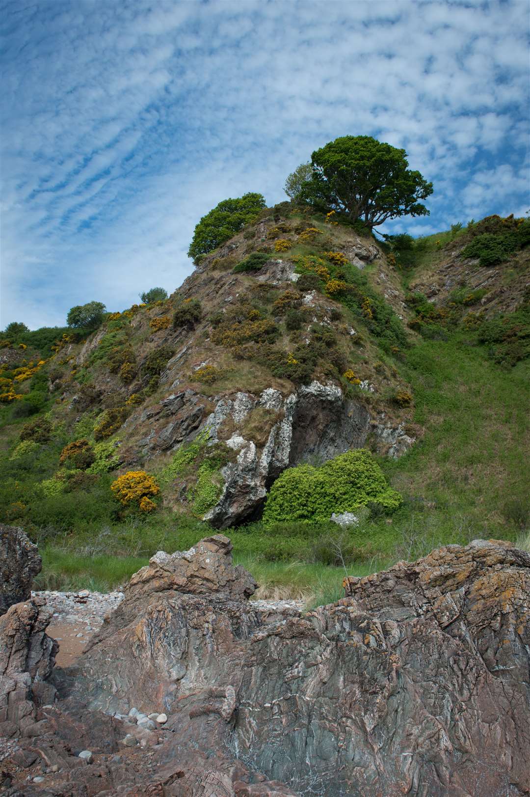 Caves at Rosemarkie were studied in detail to reveal evidence of previous human habitation.