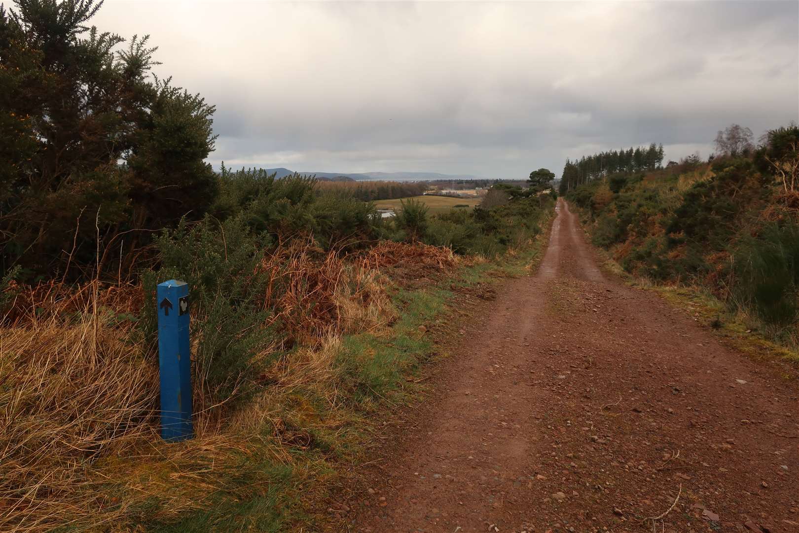 The long track to Cullaird on the South Loch Ness Trail.
