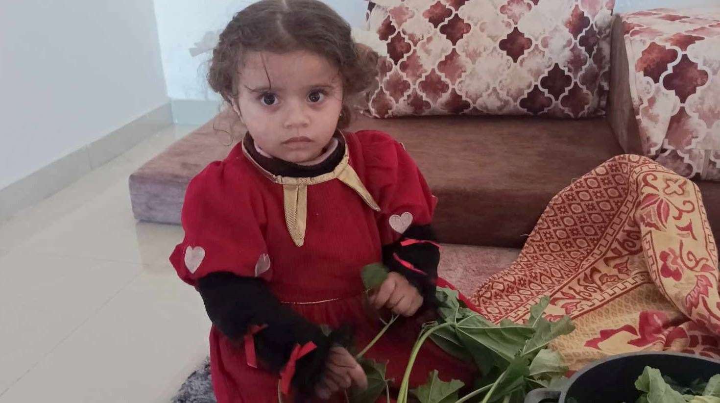 Salim Ghayyda's 18-month-old niece, who remains in Gaza, is having to eat foraged weeds and animal feed.