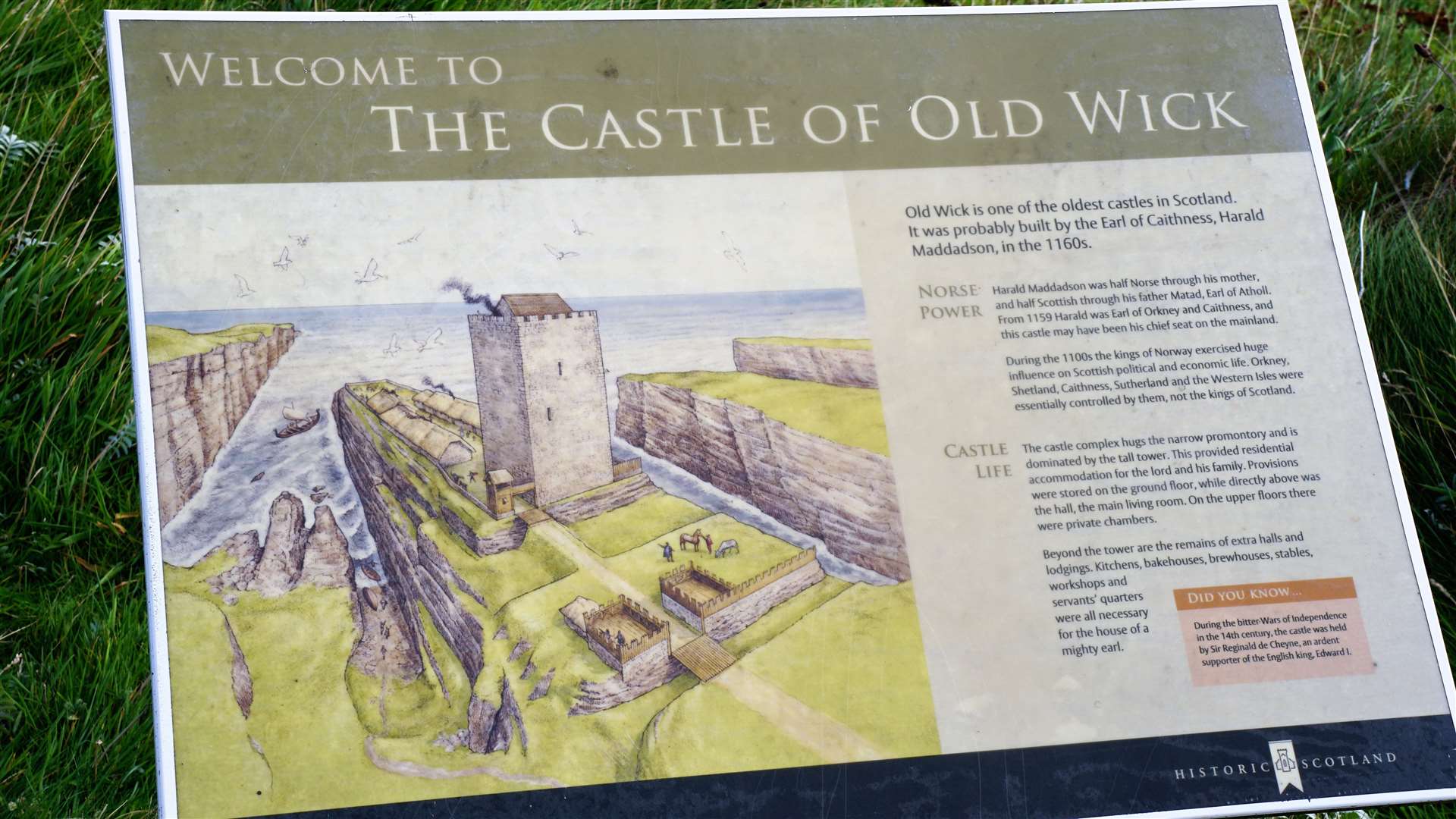 Information board at the site of the castle. Picture: DGS