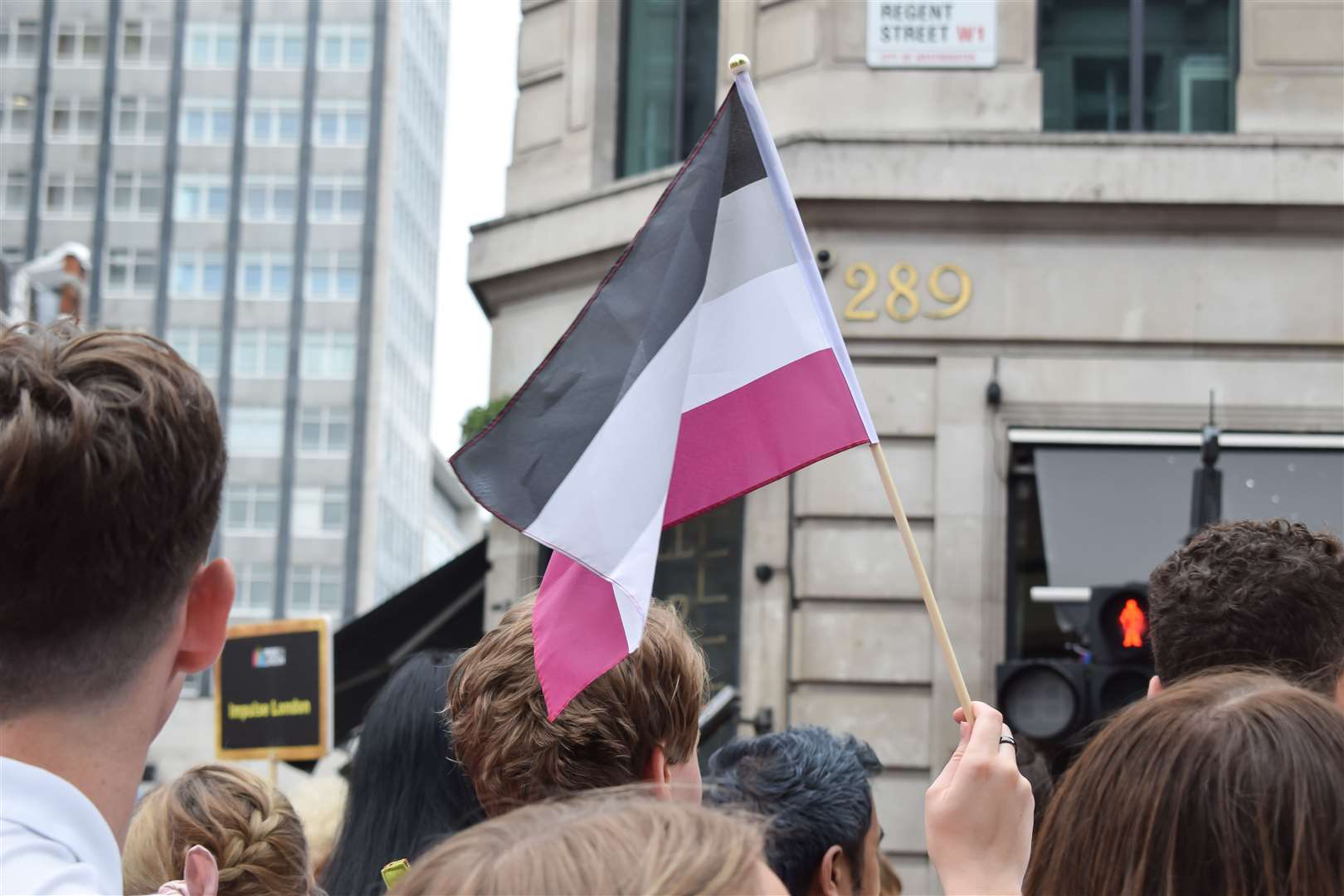Someone flying an asexual flag at London Pride. Picture: Wikimedia/Mangaka Maiden Photography
